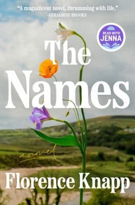The names : a novel