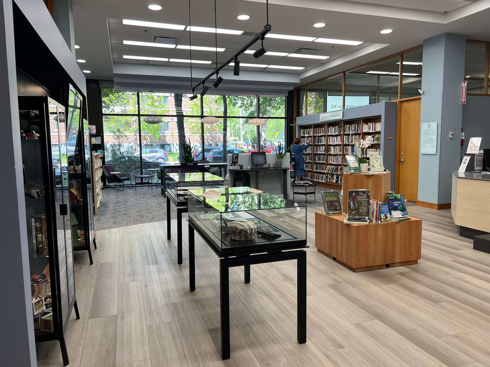 Library Interior